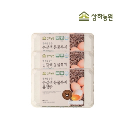 [상하농원] 100개 한정 20%할인/노른자가 진한 순갈색 동물복지유정란 15구 x 3팩